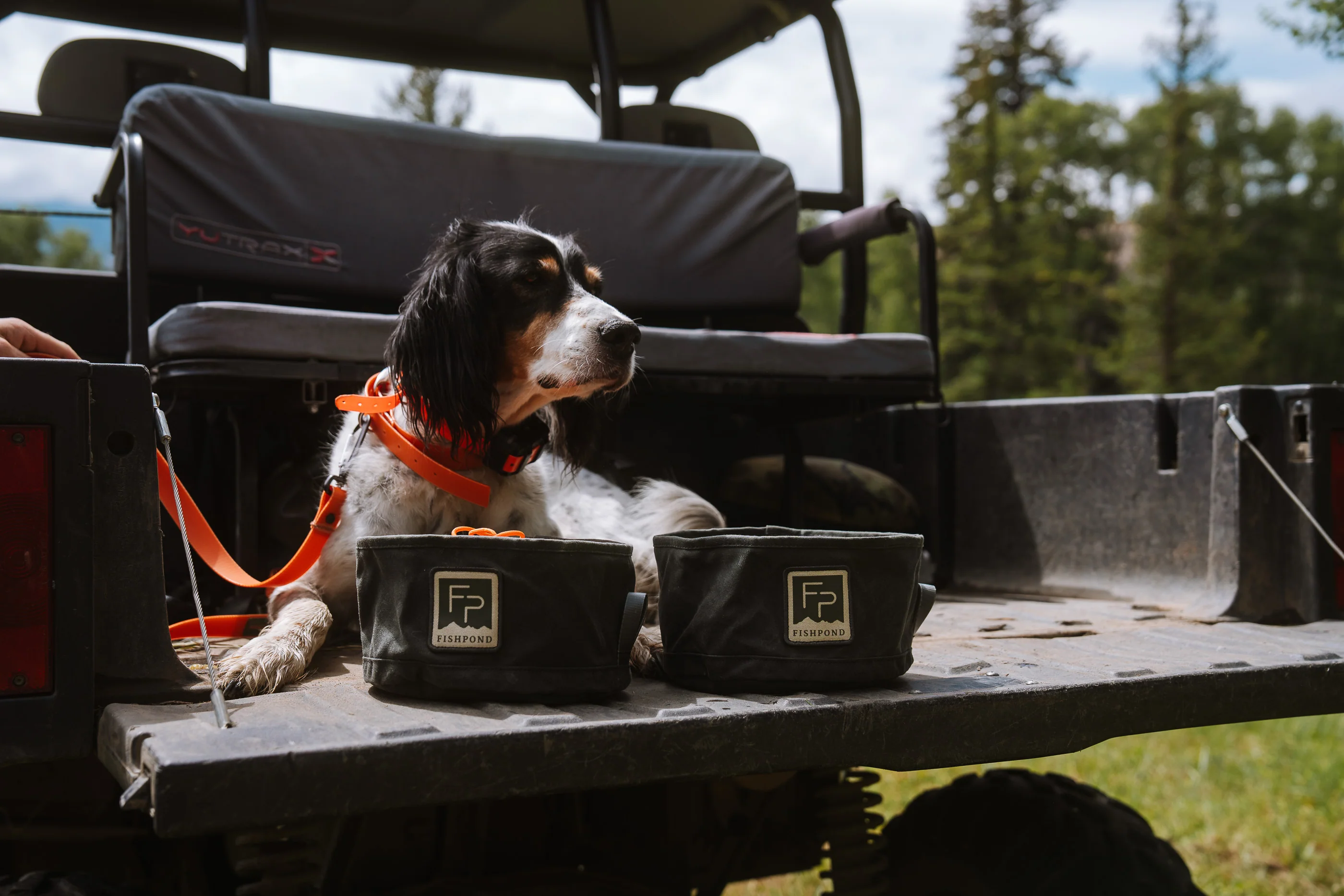 Bow Wow Travel Food Bowl - Image 4