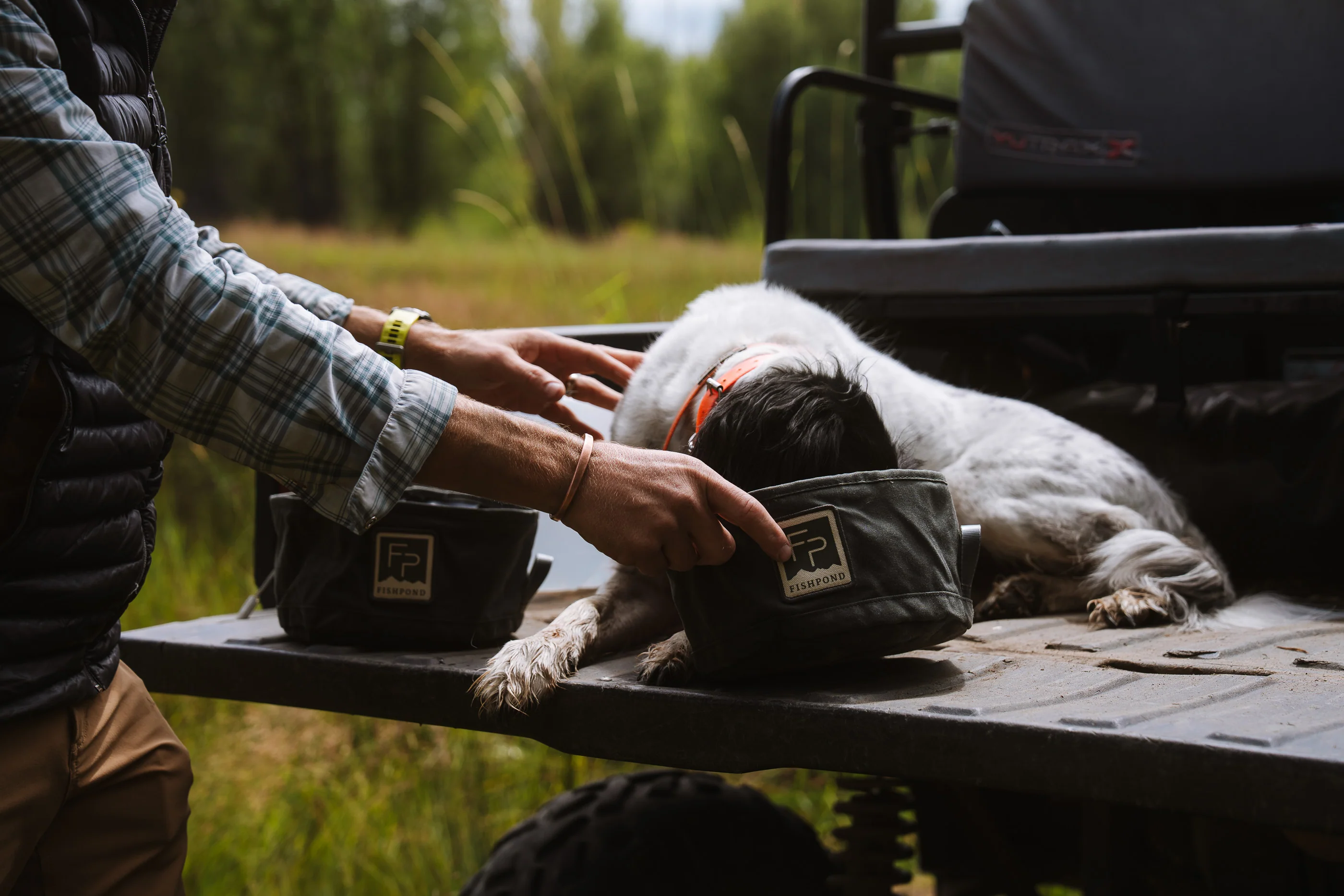 Bow Wow Travel Food Bowl - Image 5