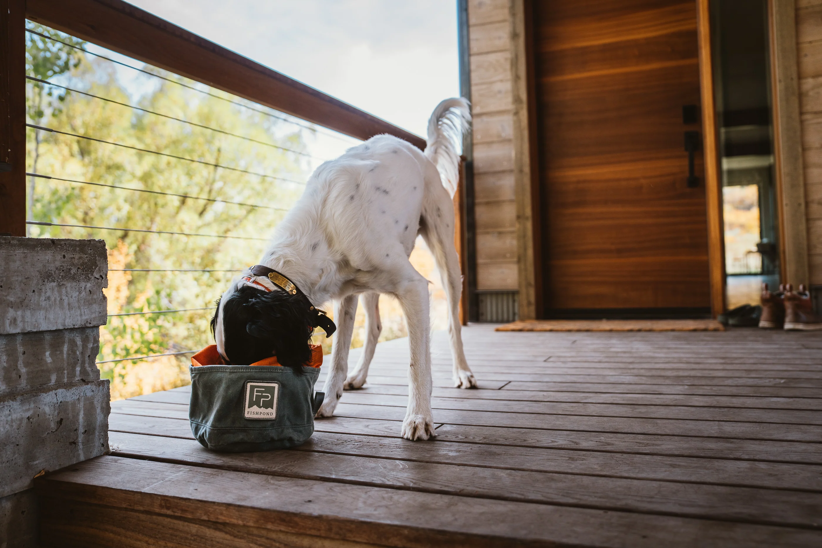 Bow Wow Travel Food Bowl - Image 6