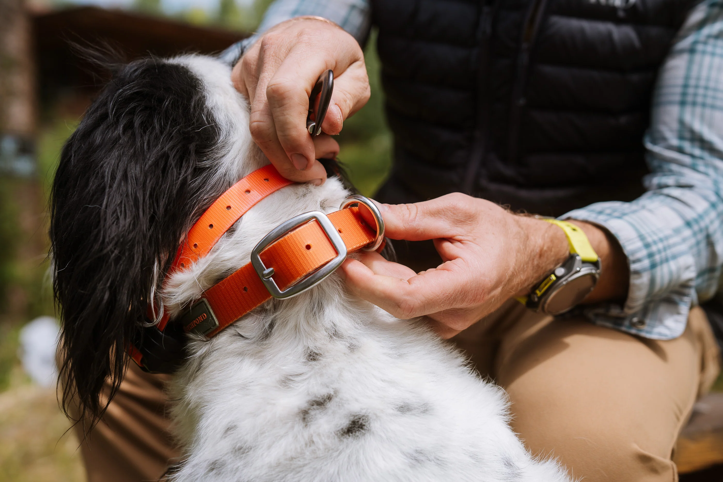 Fishpond Dog Collar - Image 4