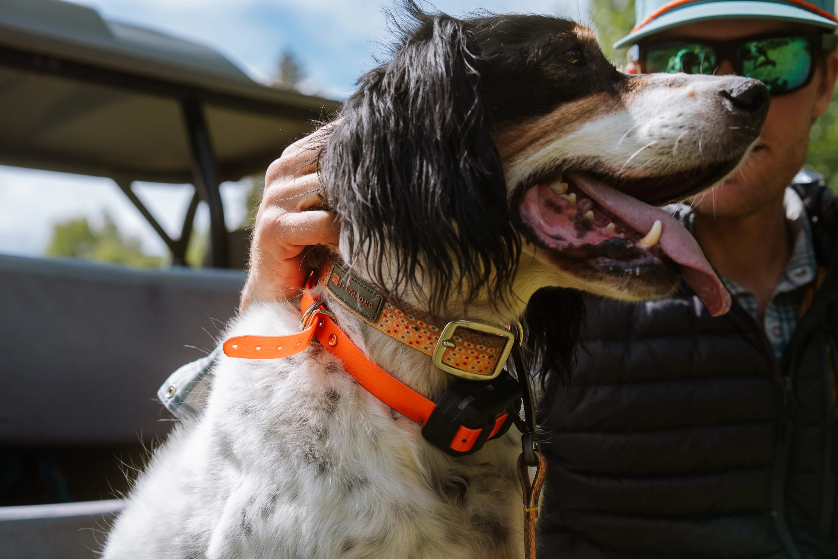 Fishpond Dog Collar - Image 6