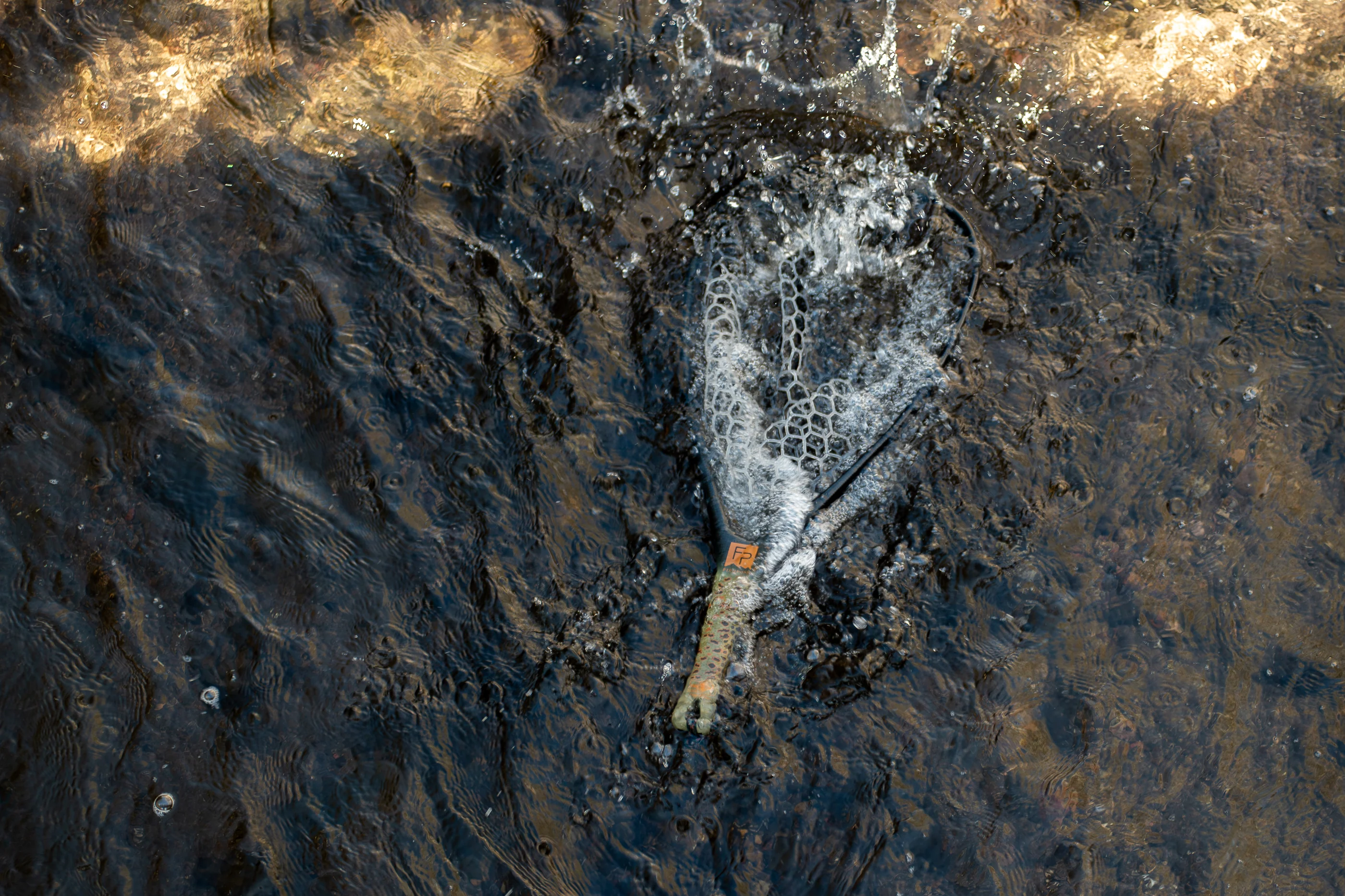 Fishpond Nomad® Yampa Hand Net - 2.0 - Image 5