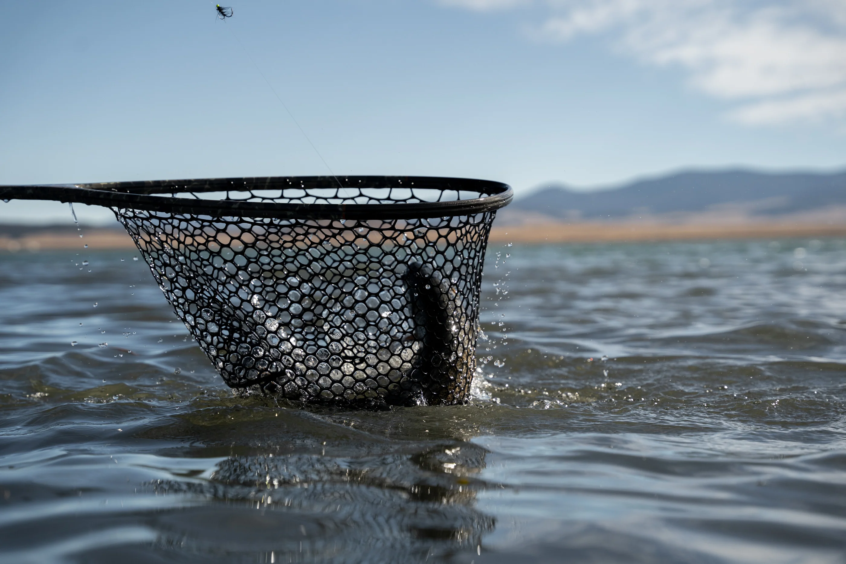Fishpond Nomad® Boat Net - Image 5