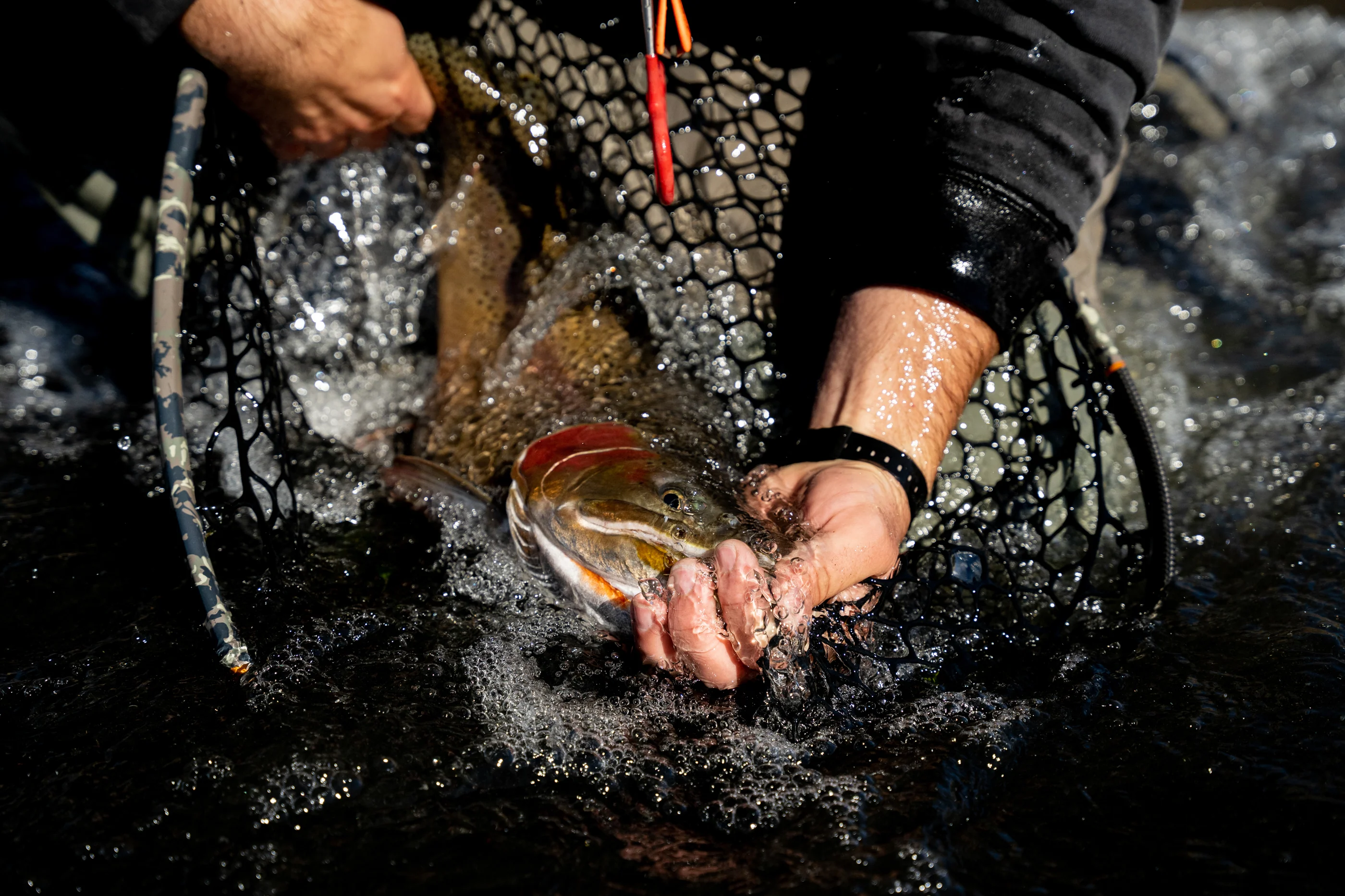 Fishpond Nomad® Boat Net - Image 6