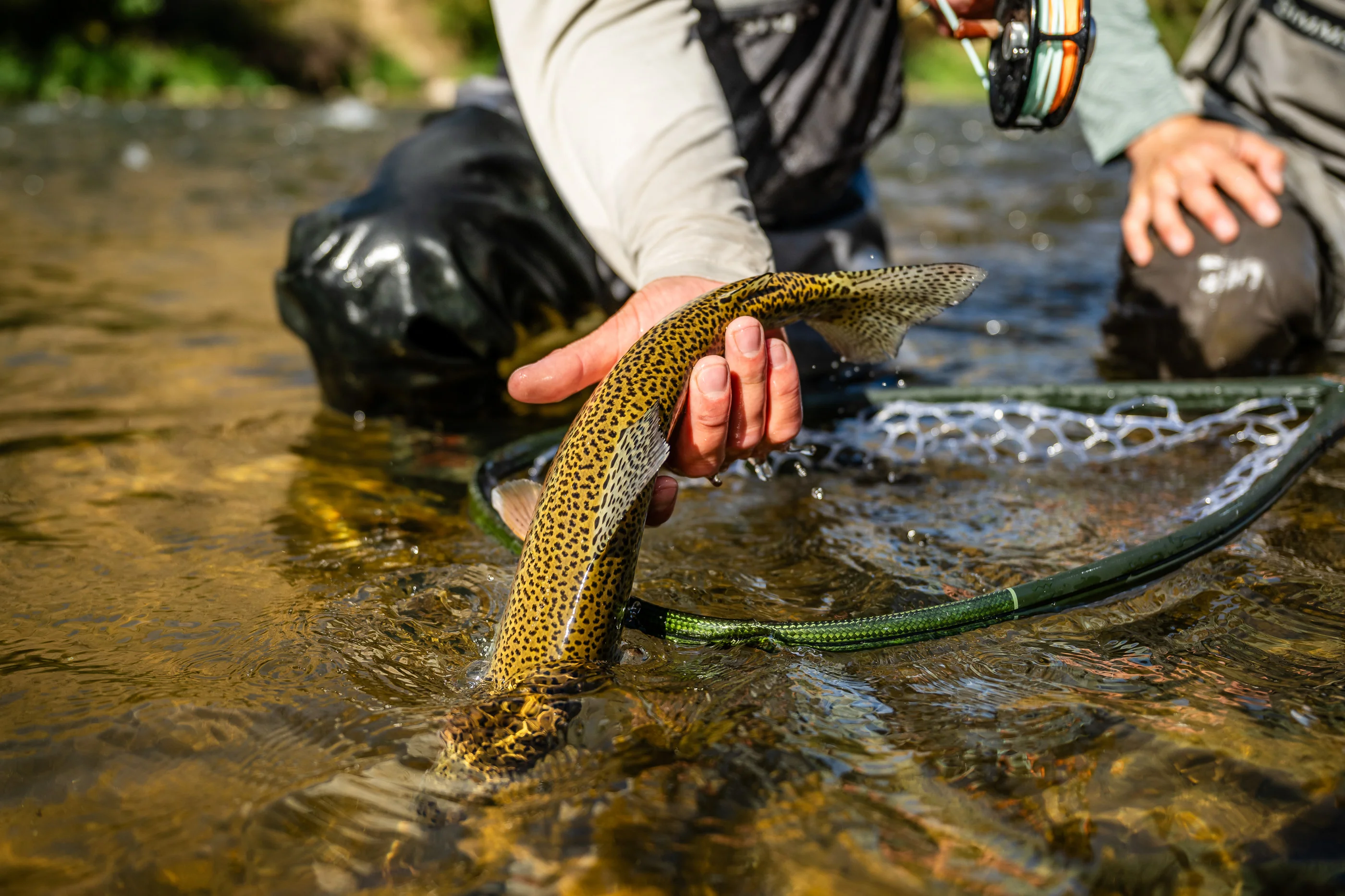 Fishpond Nomad® El Jefe Grande Net - Image 3
