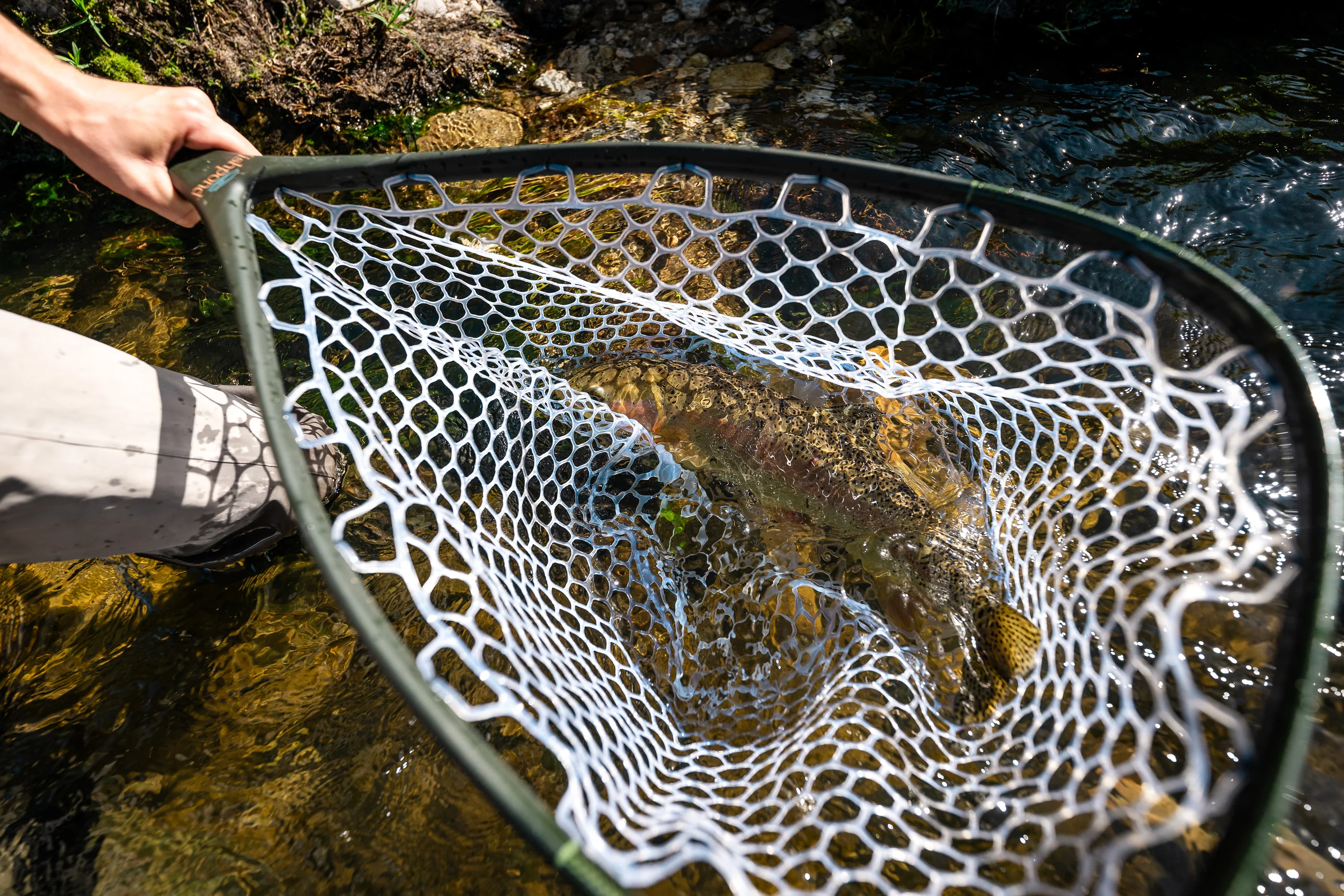 Fishpond Nomad® El Jefe Grande Net - Image 6