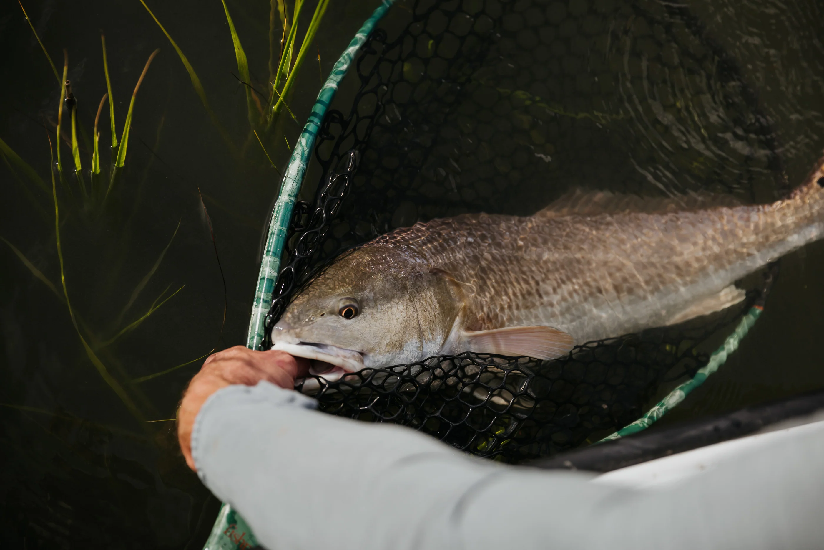 Fishpond Nomad® Mid-Length Boat Net - Image 13