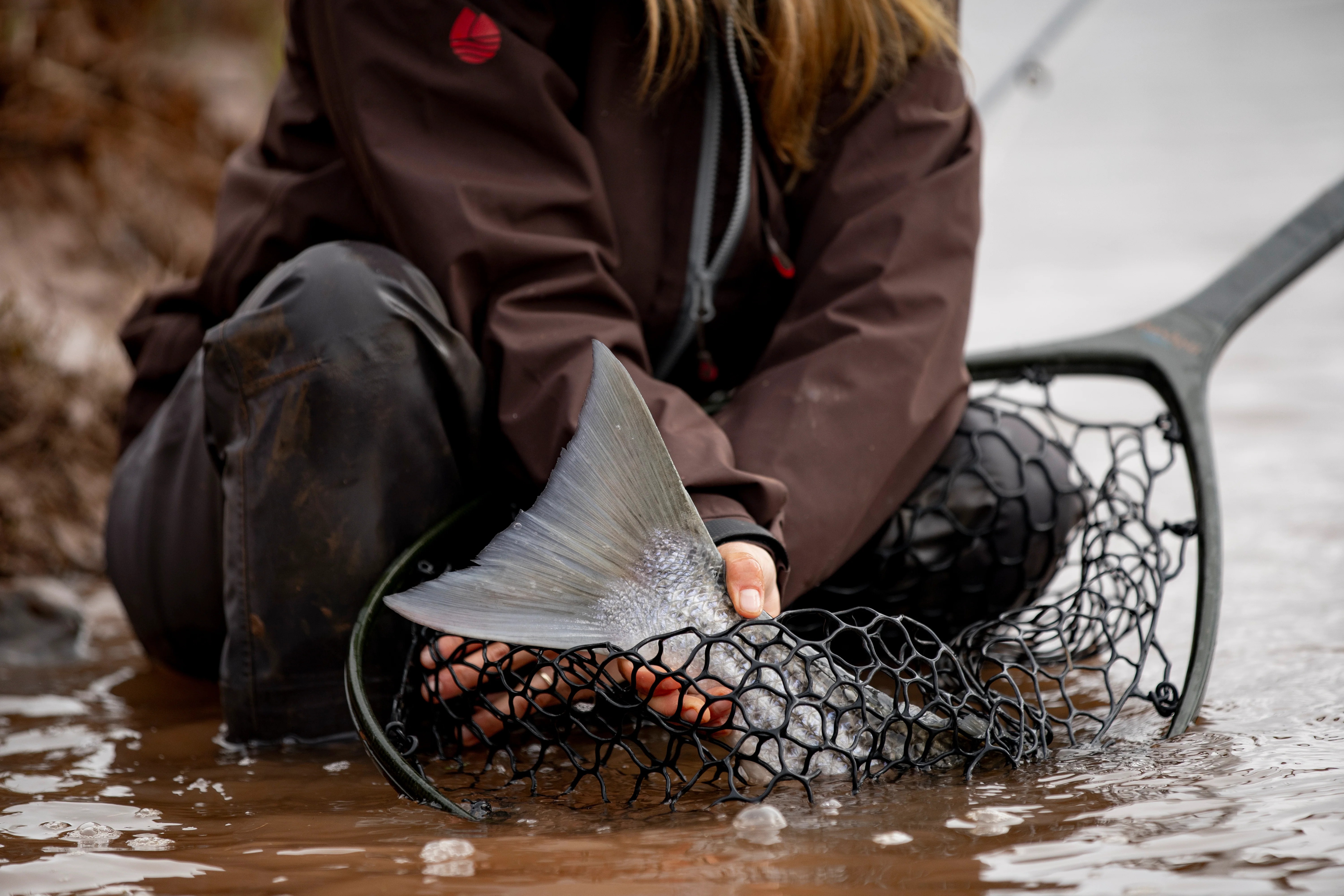Fishpond Nomad® Mid-Length Boat Net - Image 5