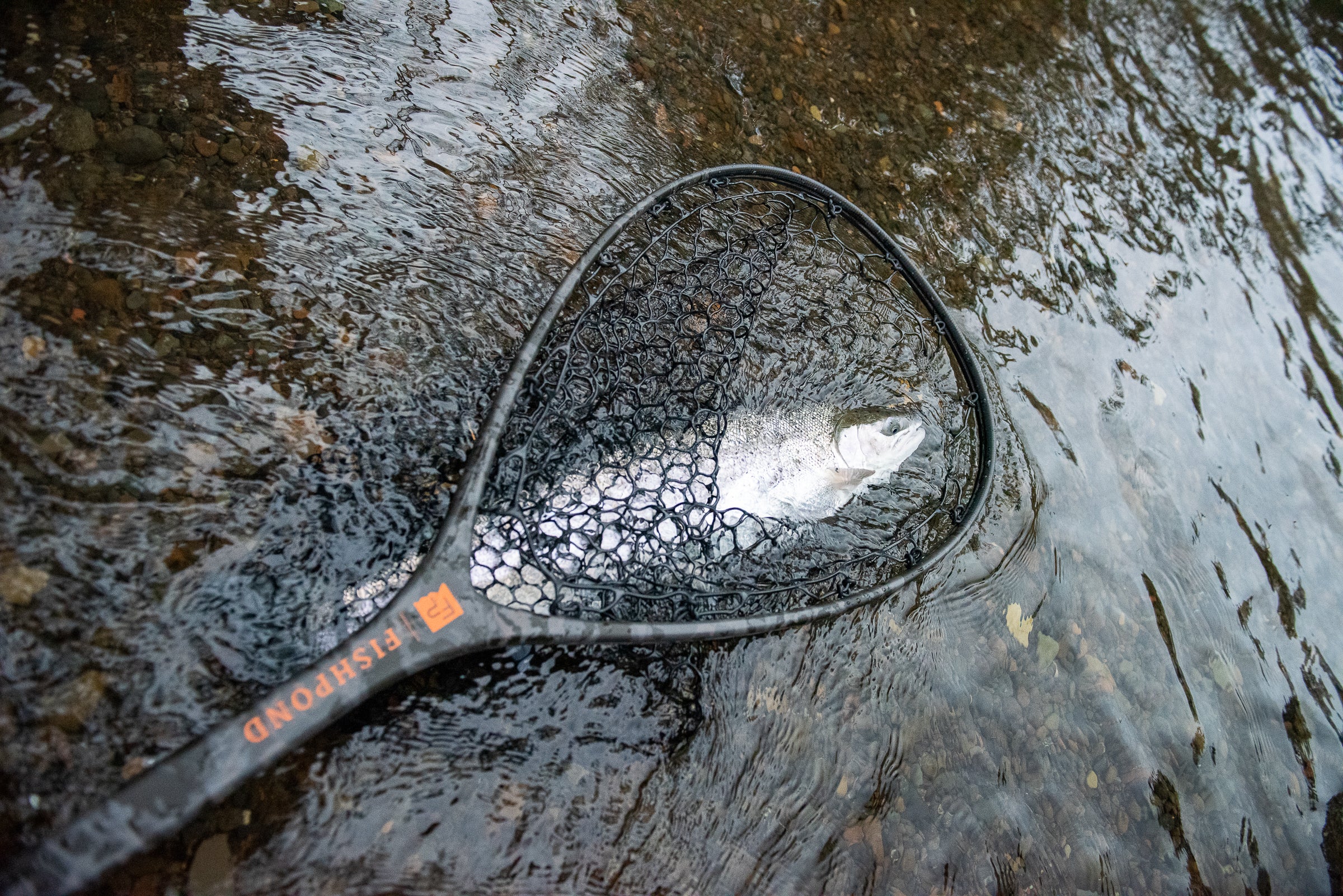 Fishpond Nomad® Mid-Length Boat Net - Wild Run Edition - Image 15