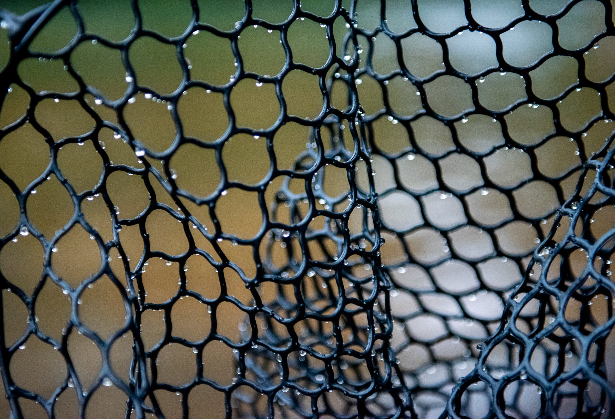 Fishpond Nomad® Mid-Length Boat Net - Wild Run Edition - Image 7