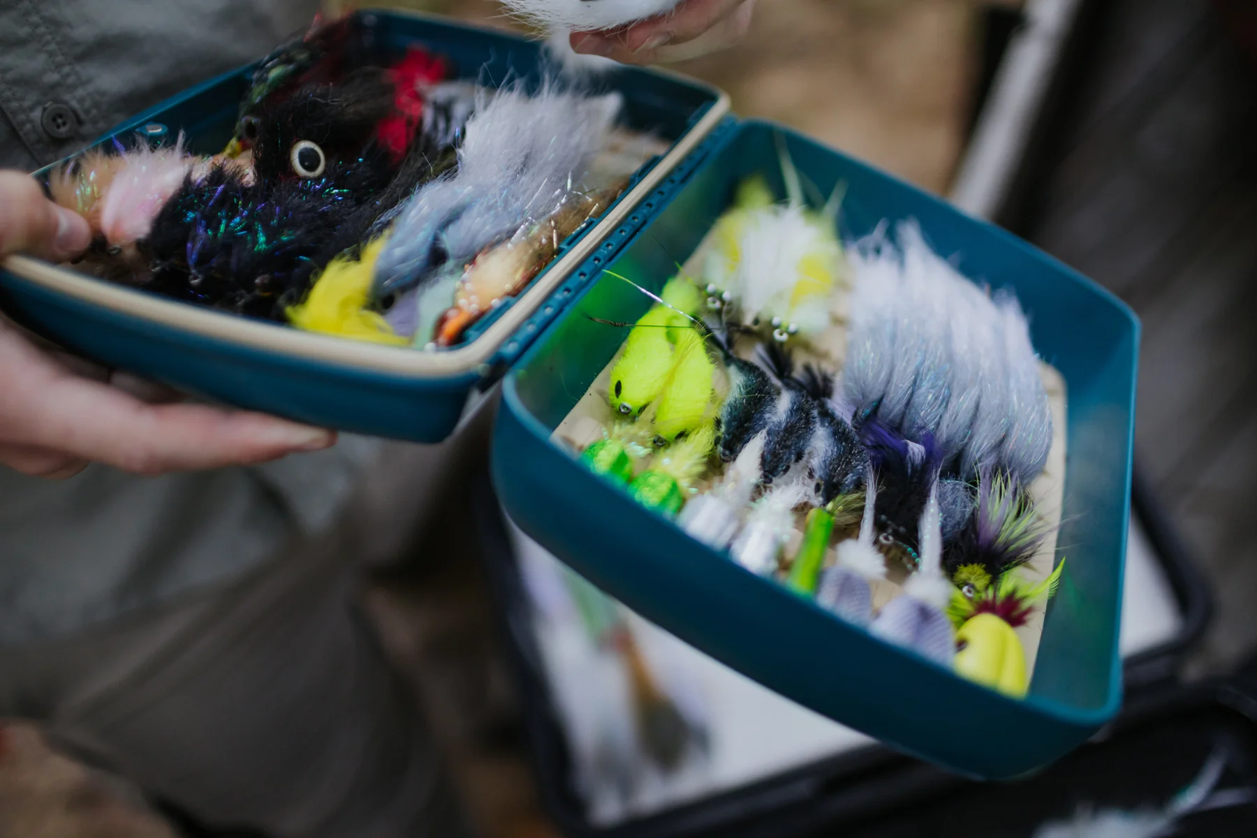 Tacky Pescador - XL - Image 7