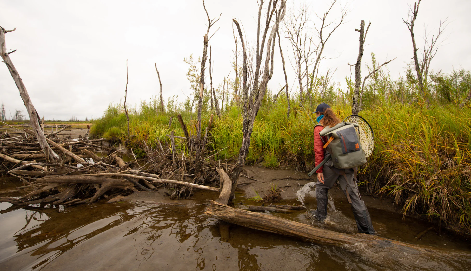 Wind River Roll-Top Backpack - Image 13